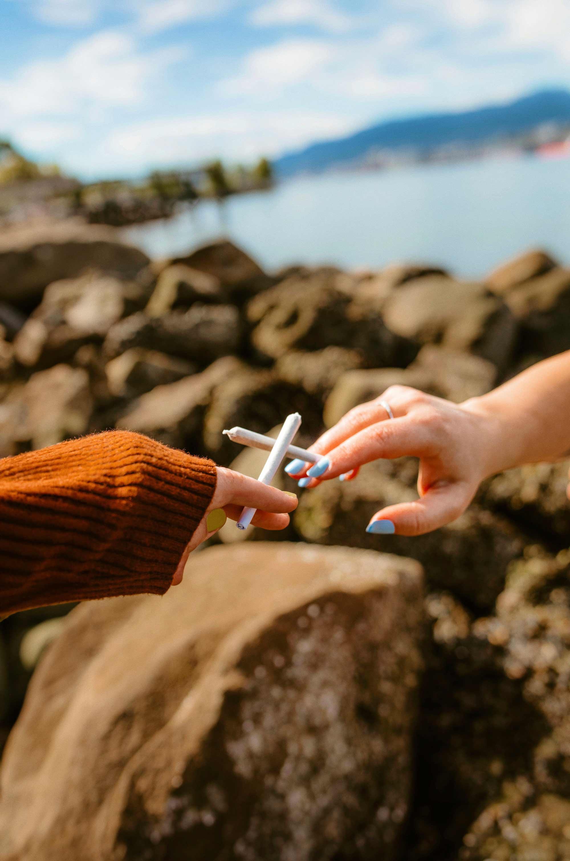 City Cannabis Co. promotional still for a featured brand partner