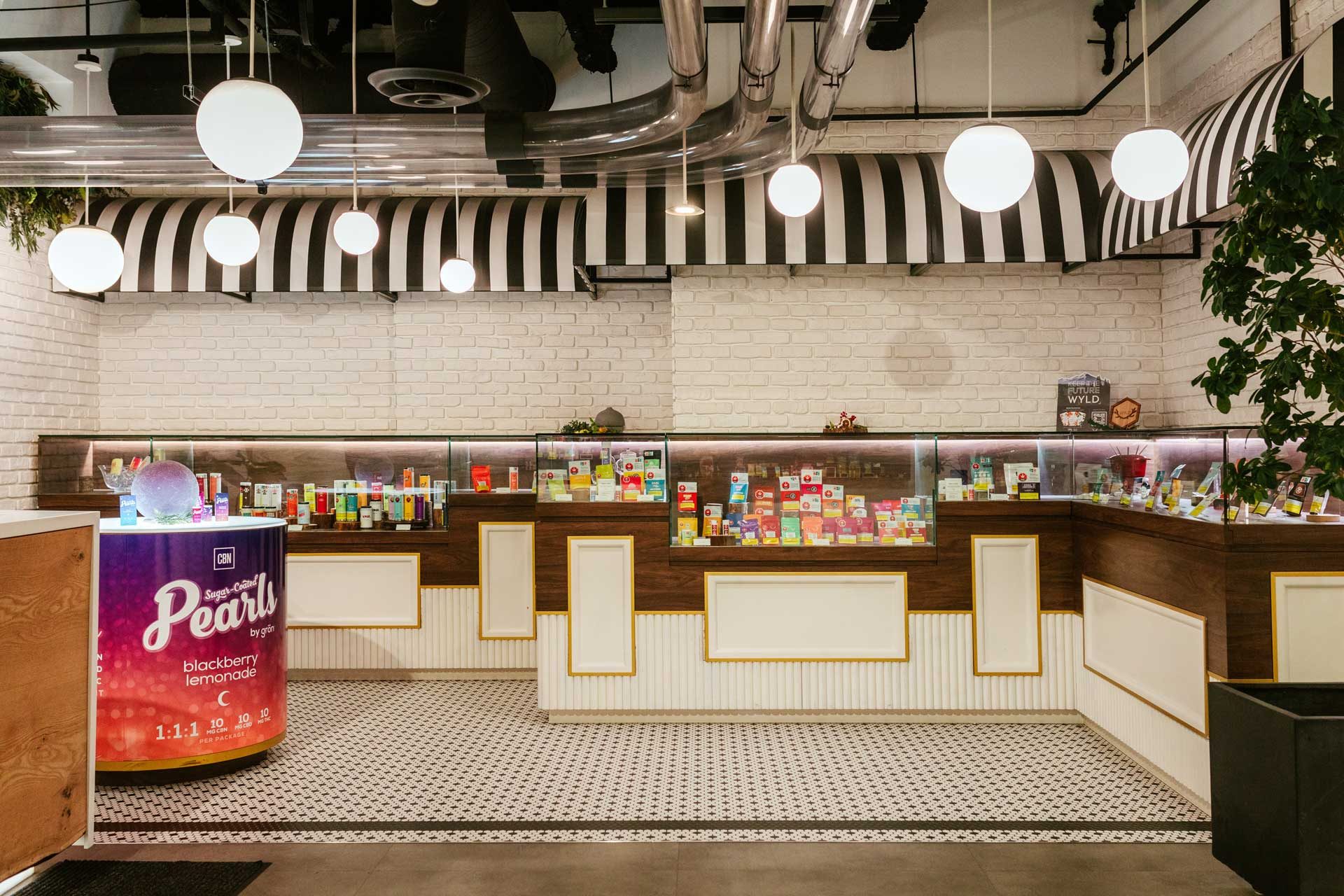 Interior of the City Cannabis Co. Robson Street store with a wood service counter and greenery